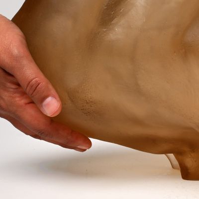 Nana Seydani, Skiftning - detalj