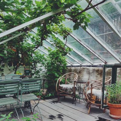 Malmgården Vita Bergen - växthuset