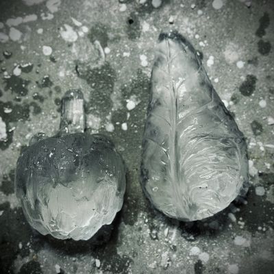 Skörd! 2025, Sylvia Neiglick rotfrukter av ugnsgjuten helkristall