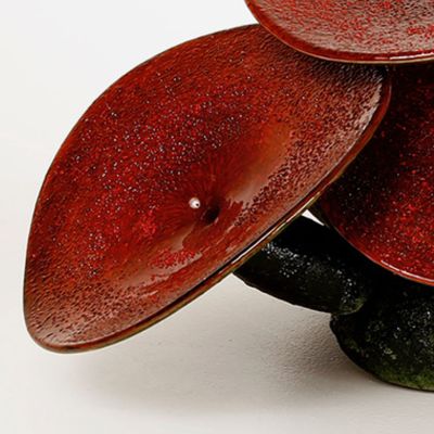 Jonas Rooth, Svampobjekt detalj